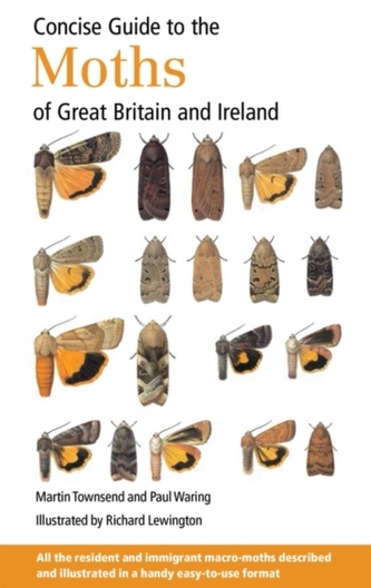 Concise Guide to the Moths of Great Britain and Ireland