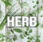The Little Book of Herb Tips