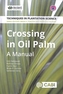 Crossing in Oil Palm