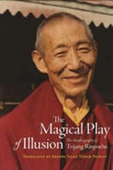 The Magical Play of Illusion