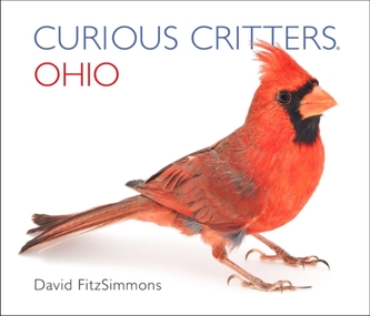 Curious Critters Ohio