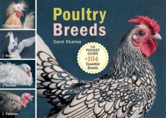 Poultry Breeds
