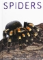 Spiders