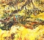 Witnessing Affandi