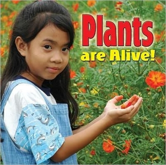 Plants Are Alive - Plants Close-Up