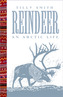 Reindeer