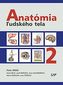 Anatómia ľudského tela II.
