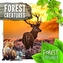 Forest Creatures