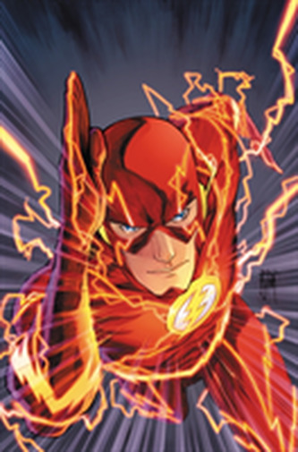The Flash: Starting Line