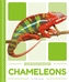 Chameleons