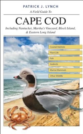 A Field Guide to Cape Cod