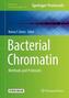 Bacterial Chromatin