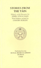 Stories from the Tain