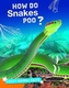 How Do Snakes Poo?