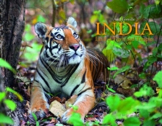 India: Land of Tigers and Temples