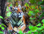 India: Land of Tigers and Temples