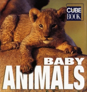 Baby Animals