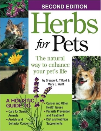 Herbs for Pets