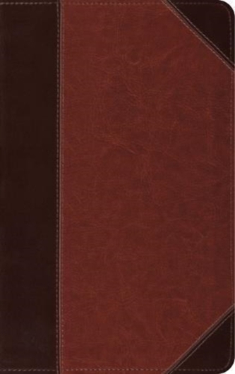 ESV Thinline Reference Bible
