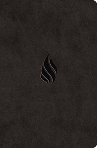 ESV Value Compact Bible