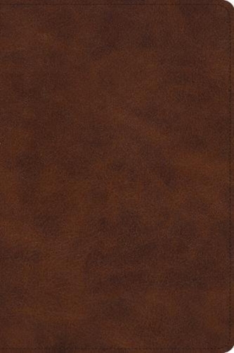 ESV Story of Redemption Bible: A Journey through the Unfolding Promises of God