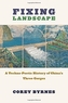 Fixing Landscape