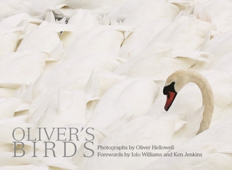 Oliver's Birds