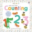 Hide-and-Seek Counting