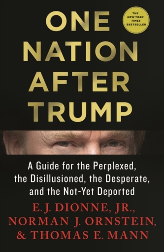 One Nation After Trump