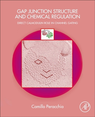 Gap Junction Structure and Chemical Regulation