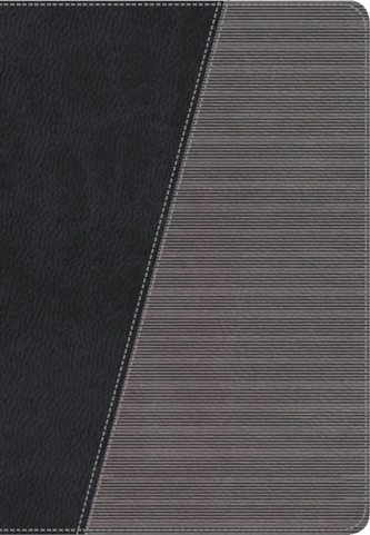 NKJV, The Modern Life Study Bible, Leathersoft, Black/Gray, Indexed