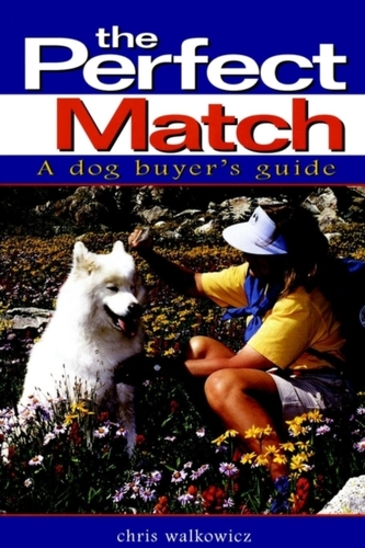 The Perfect Match: a Dog Buyer's Guide