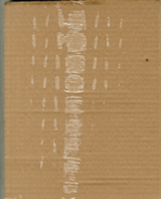 Que Bien Suena!: Mastering Spanish Phonetics and Phonology