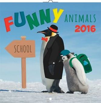 Kalendář nástěnný 2016 - Funny Animals, poznámkový  30 x 30 cm