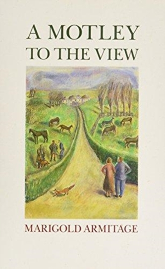 A Motley to the View