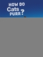 How Do Cats Purr?