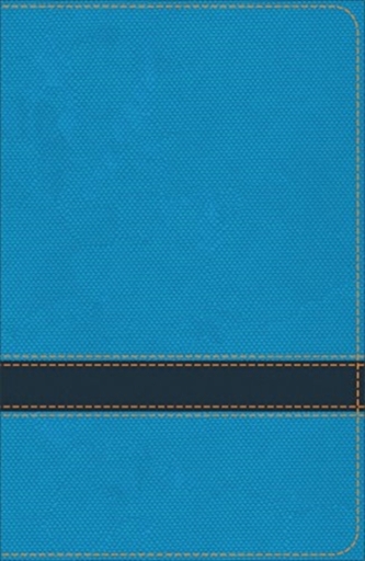 KJV Study Bible for Boys Ocean/Navy LeatherTouch