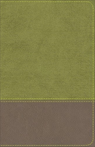 KJV Study Bible for Boys Olive/Brown LeatherTouch