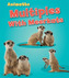 Multiples with Meerkats