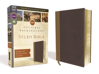 NRSV, Cultural Backgrounds Study Bible, Leathersoft, Tan/Brown, Comfort Print