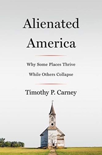 Alienated America