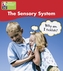 PYP L4 Sensory System single