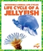 Life Cycle of a Jellyfish