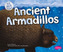Ancient Armadillos