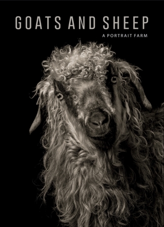 Goats and Sheep. A Portrait Farm