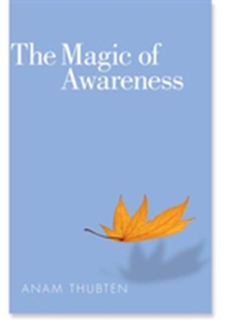 The Magic Of Awareness