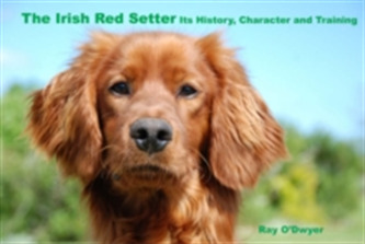 The Irish Red Setter