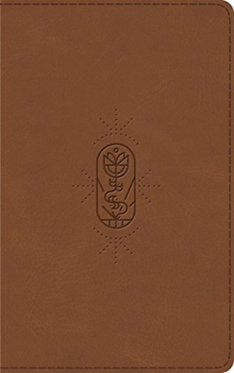ESV Kid's Bible, Thinline