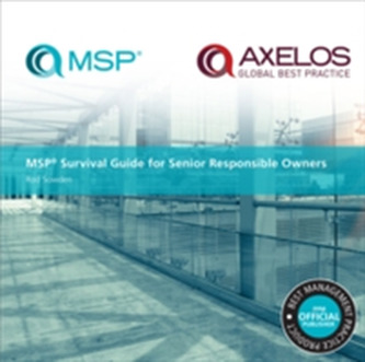MSP survival guide for senior responsible owners