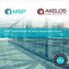 MSP survival guide for senior responsible owners